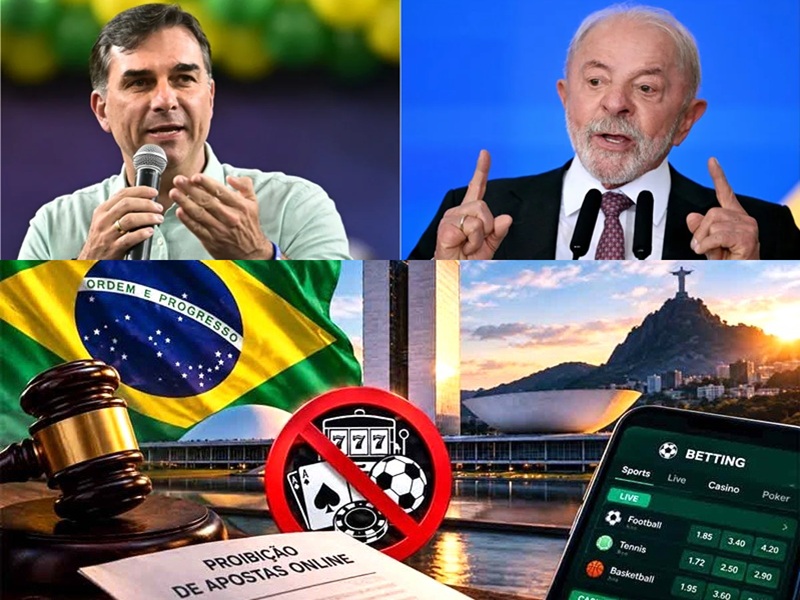 A próxima etapa será decisiva para esclarecer se o Brasil manterá a proibição, modificará seu alcance ou adotará uma solução