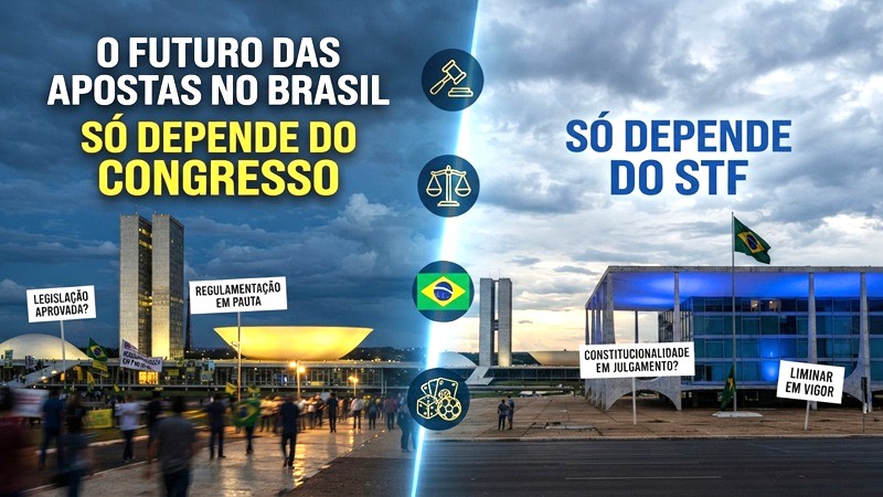 Agora, para o setor, a prioridade passa a ser demonstrar, com dados e fundamentos jurídicos, quais estão sendo as trágicas